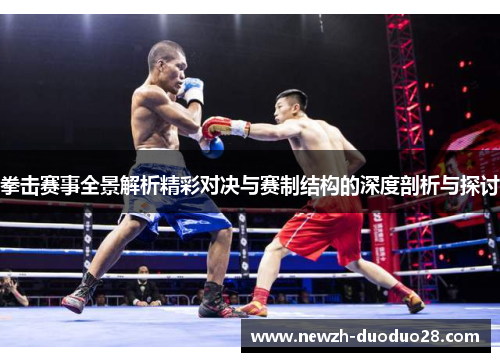 拳击赛事全景解析精彩对决与赛制结构的深度剖析与探讨