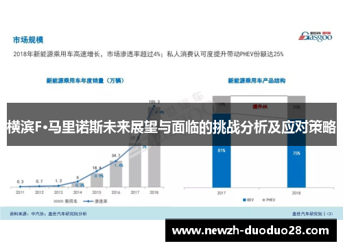 横滨F·马里诺斯未来展望与面临的挑战分析及应对策略